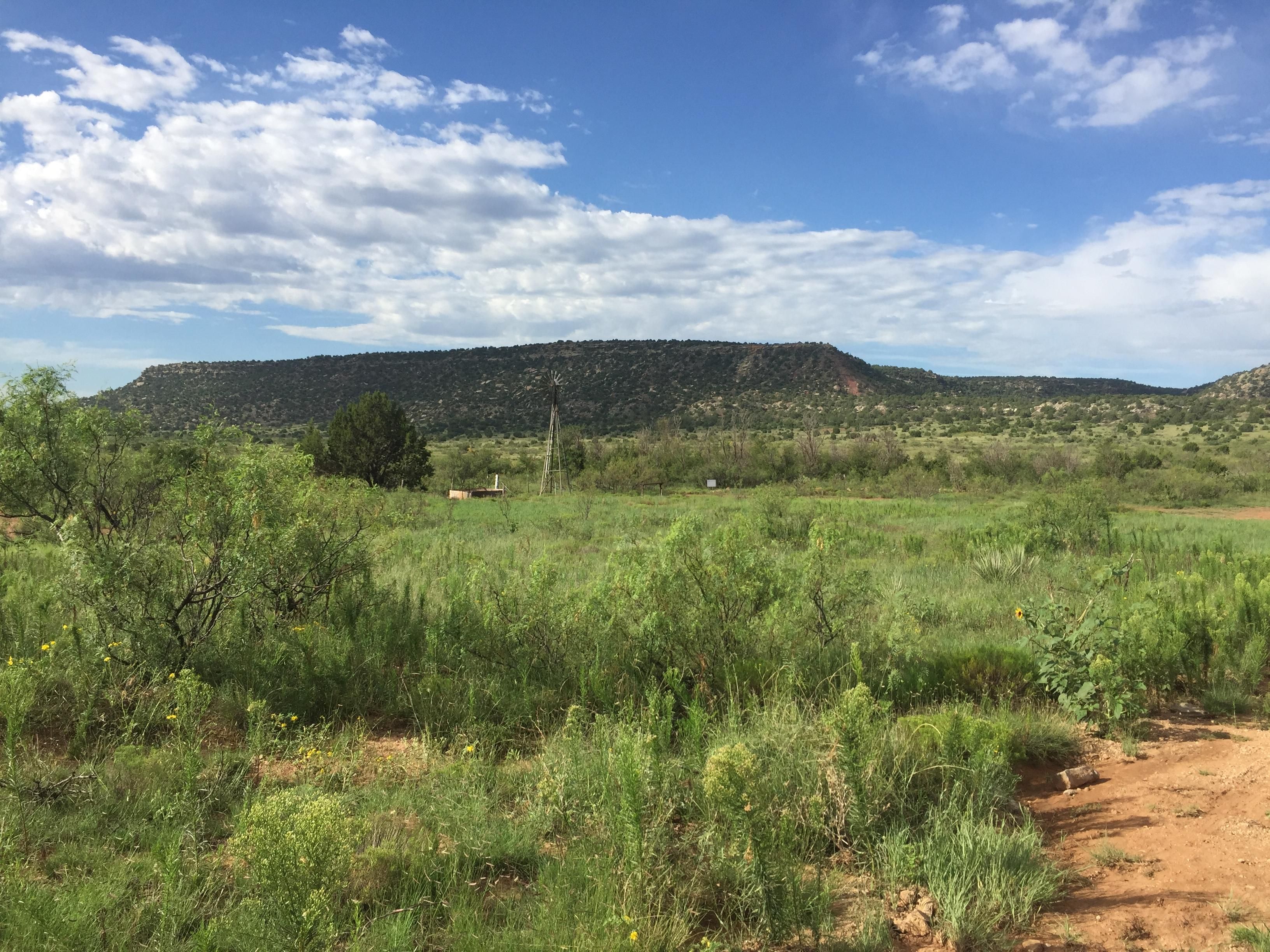 120 acres in San Miguel County, New Mexico
