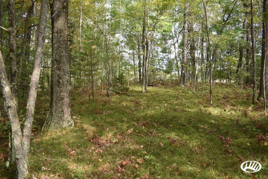 78 acres in County, Wisconsin