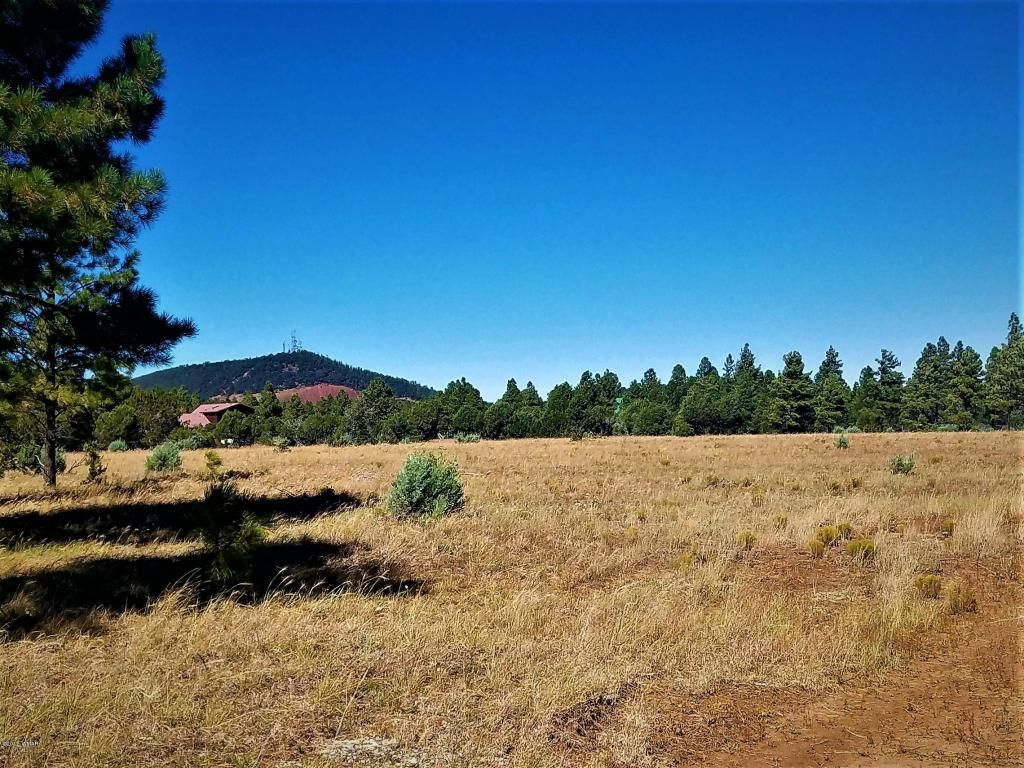 32.77 acres in Navajo County, Arizona