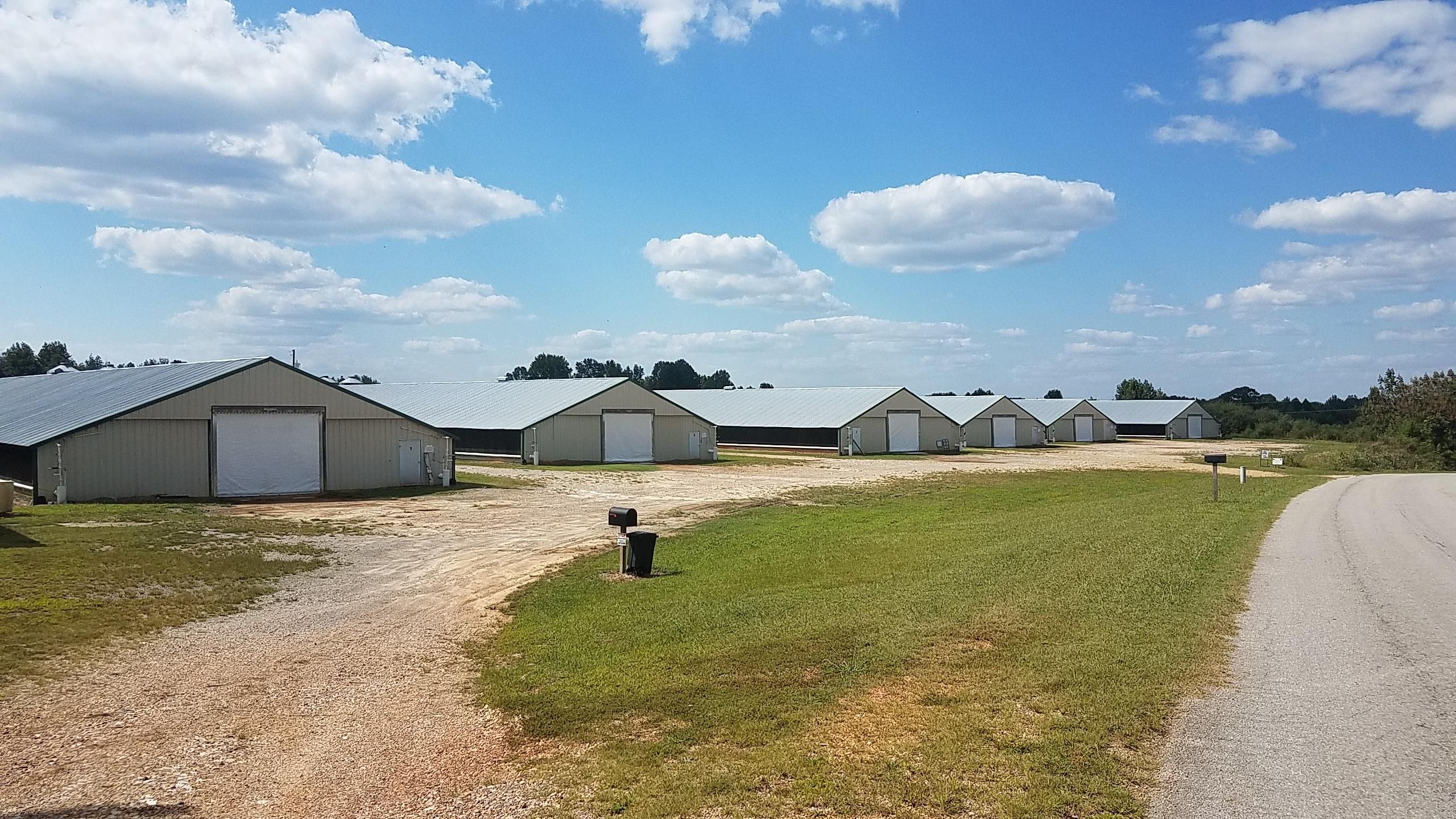 40 acres in Franklin County, Alabama