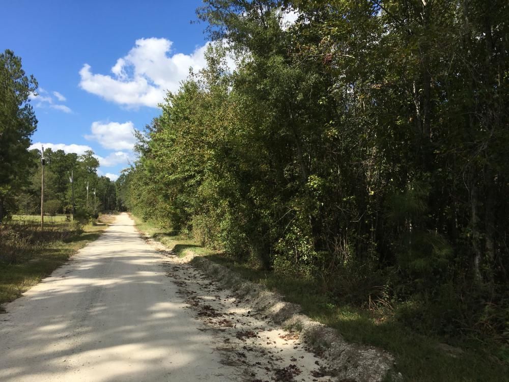 8 acres in Clarendon County, South Carolina