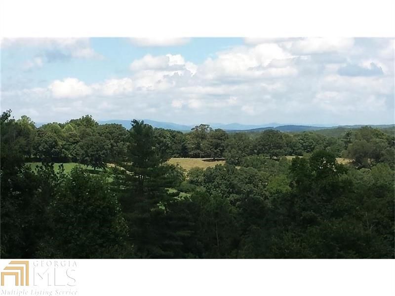 20 acres in Dawson County,
