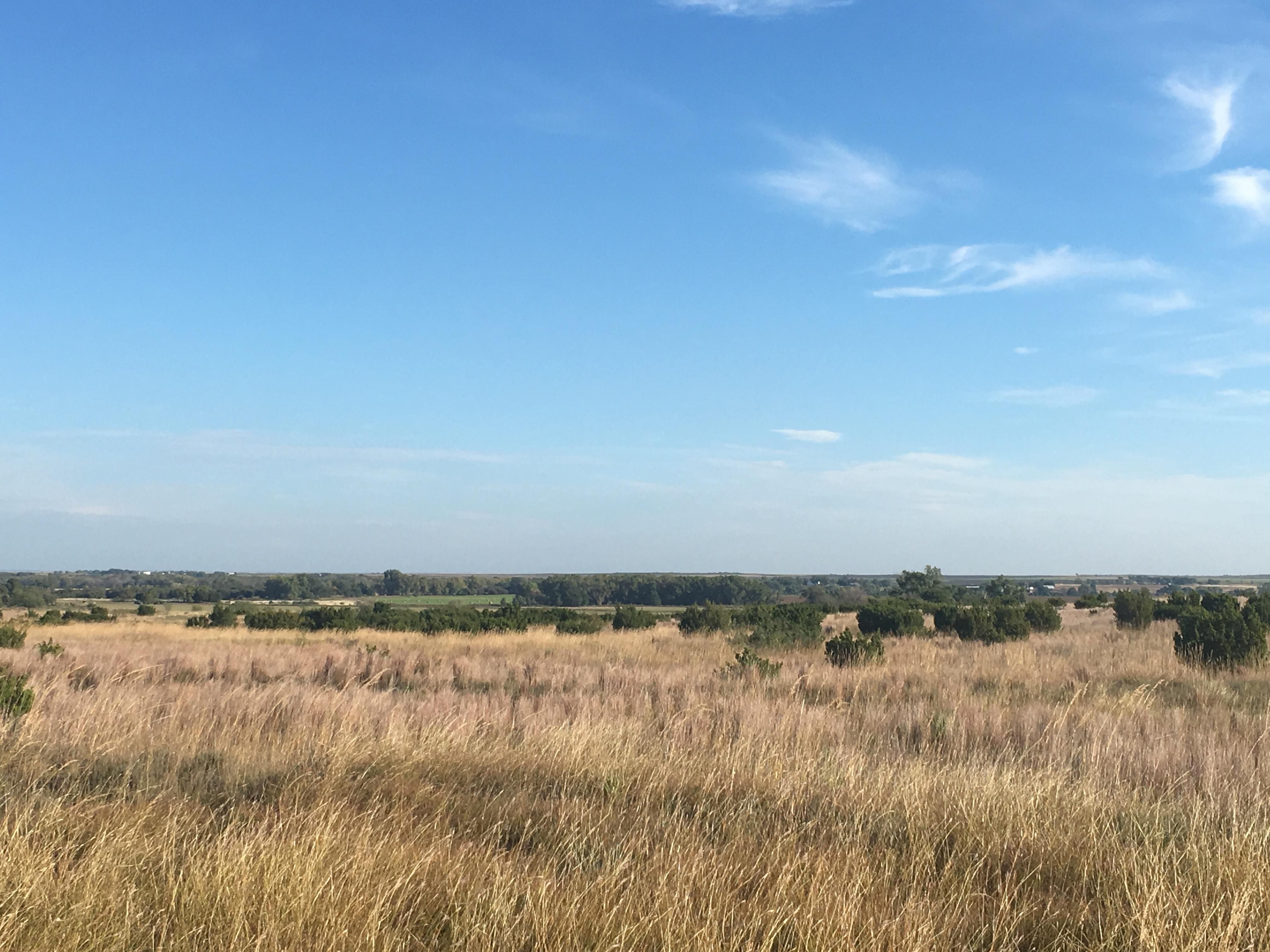 459 acres in Donley County, Texas