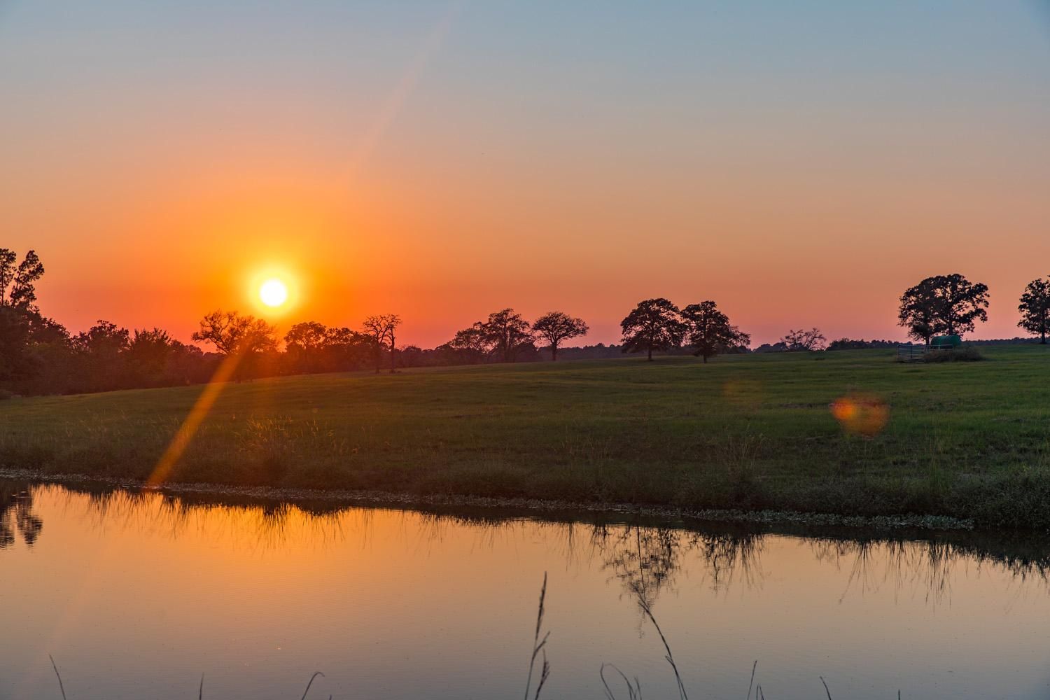 388 acres in Grimes County, Texas