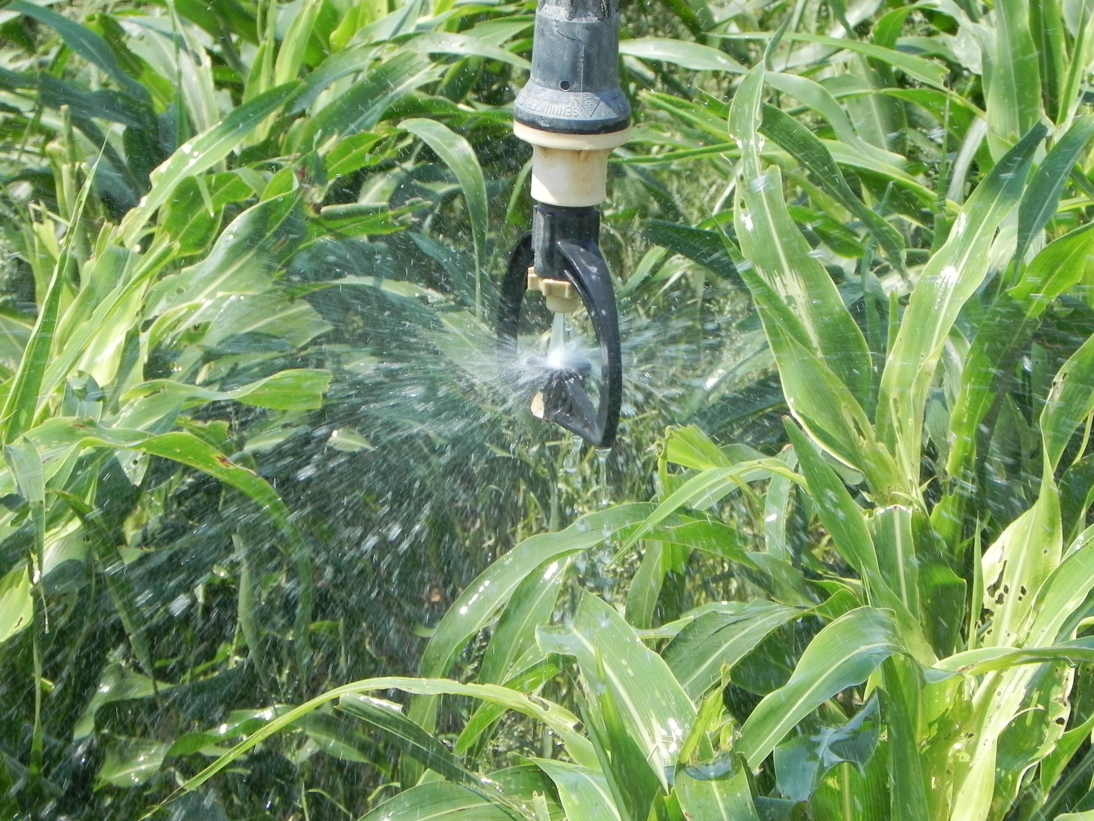 1,736 acres in Quay County, New Mexico