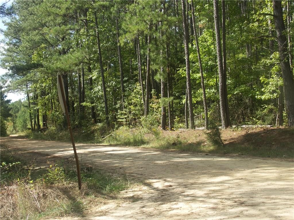 3.1 acres in Chambers County, Alabama