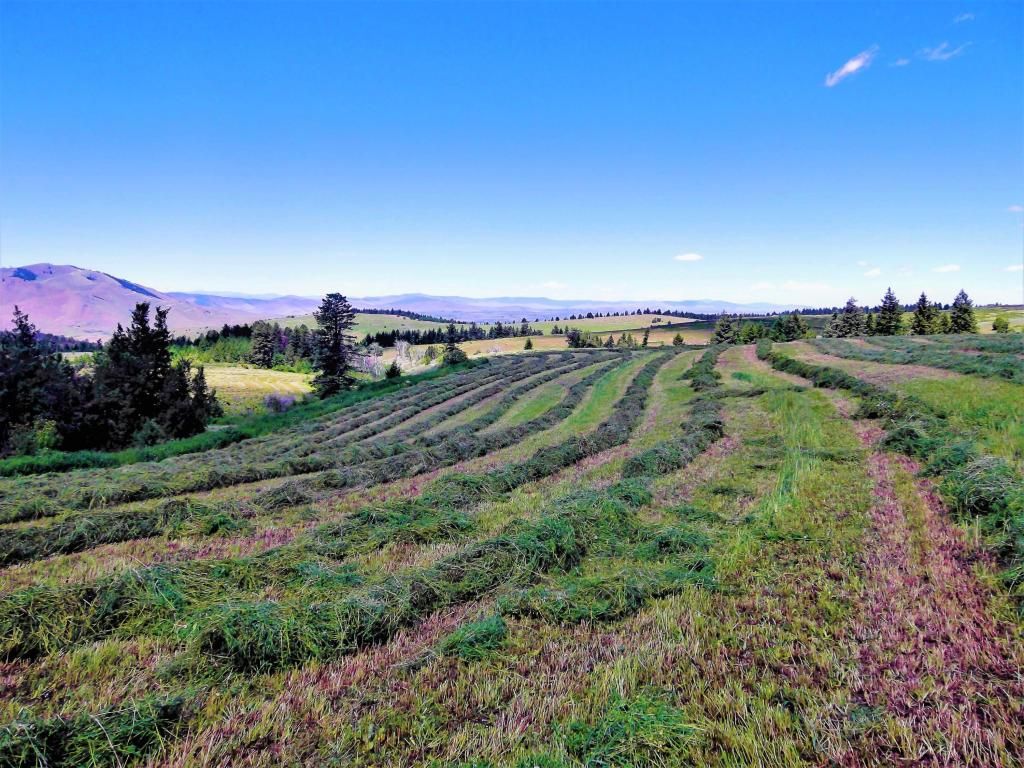 355 acres in Lake County, Montana