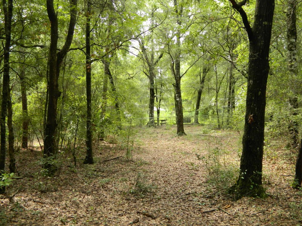 4.06 acres in Walton County, Florida