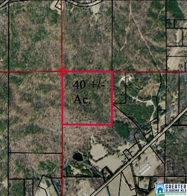 40 acres in Coosa County, Alabama