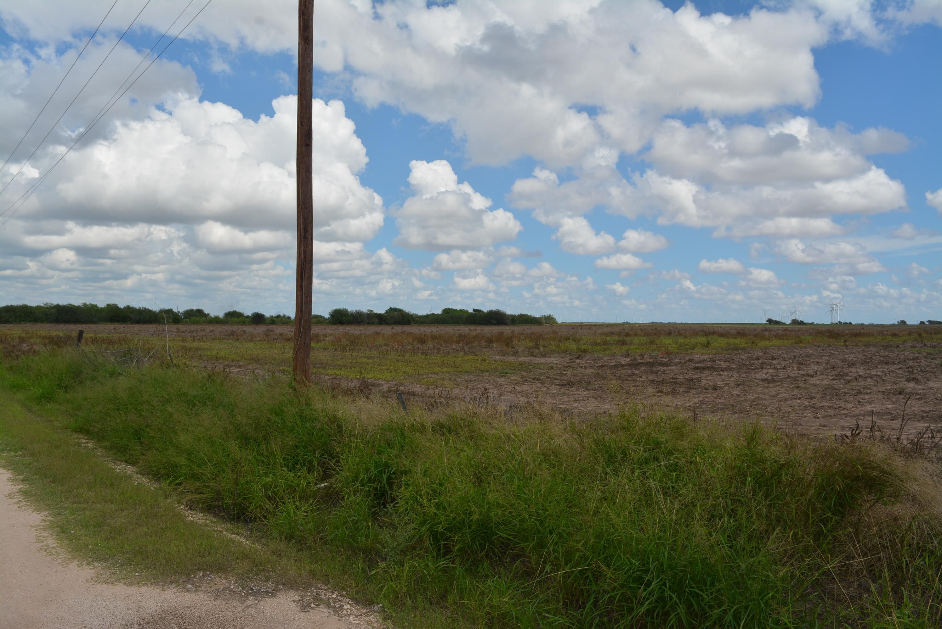 40 acres in Willacy County, Texas