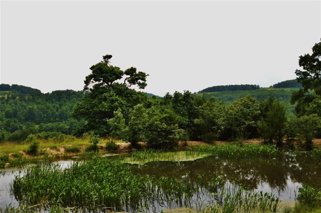 250 acres in Madison County, Arkansas