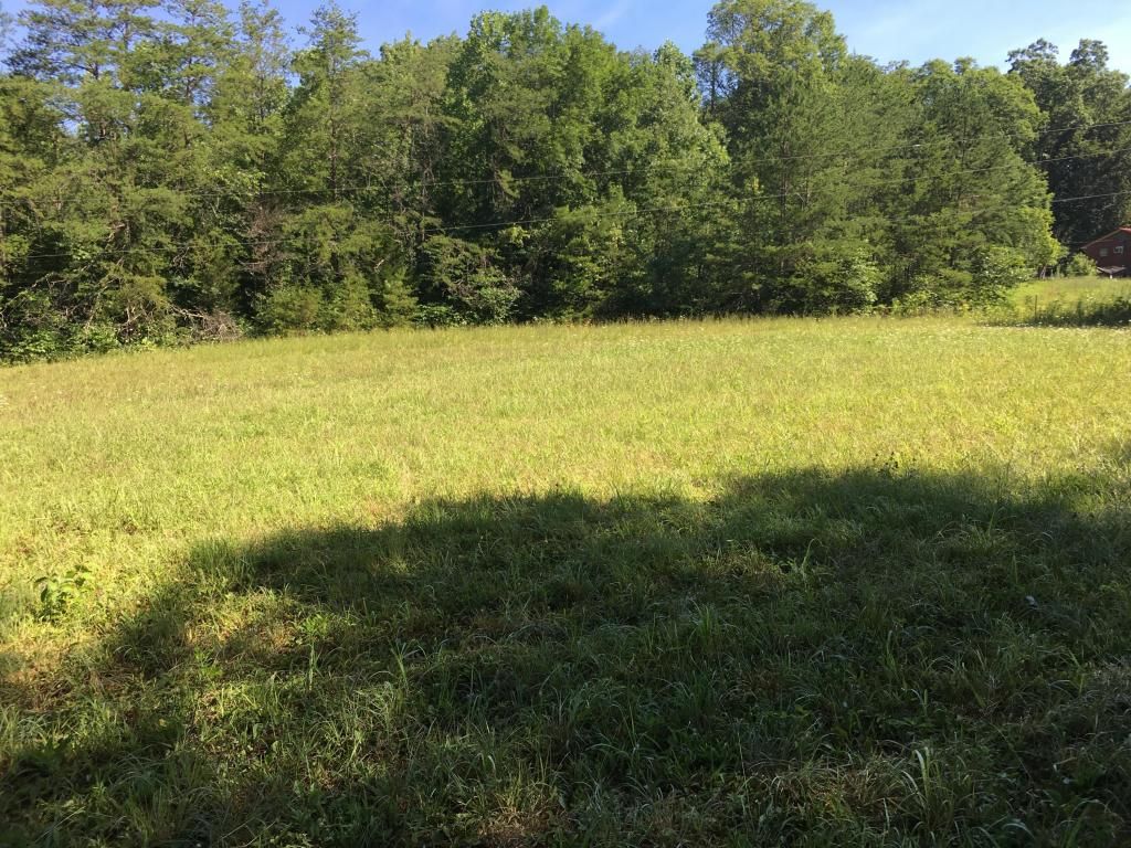 15.47 acres in Blount County, Tennessee