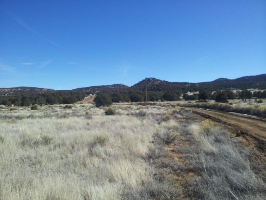 20 acres in Catron County, New Mexico