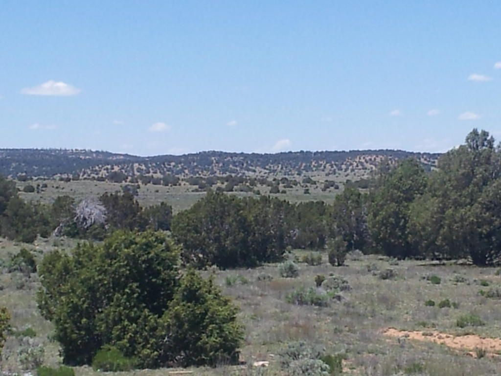 640 acres in McKinley County, New Mexico