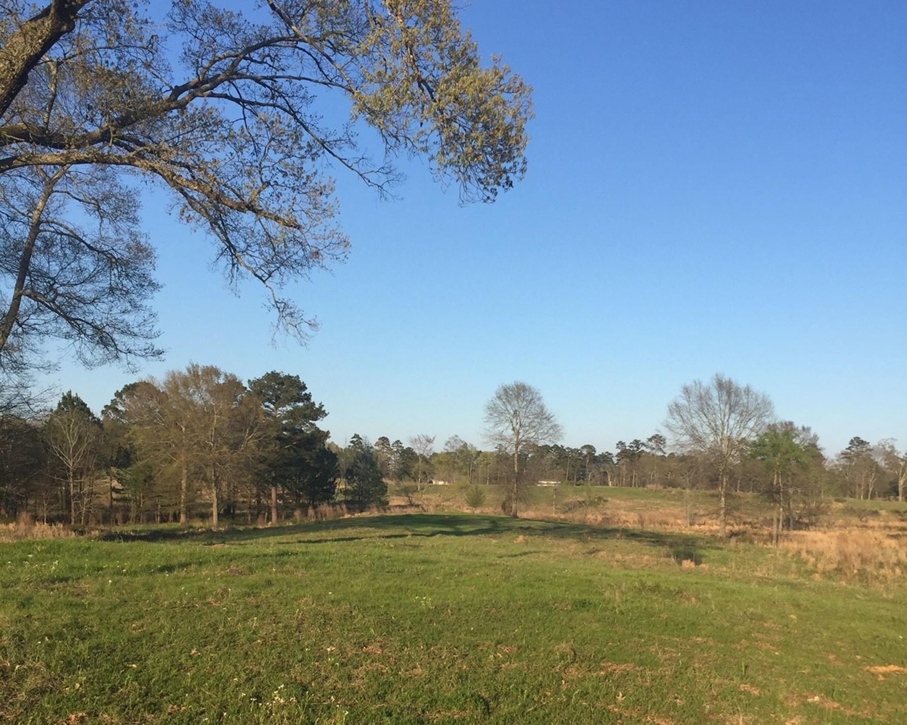 45 acres in Hinds County, Mississippi