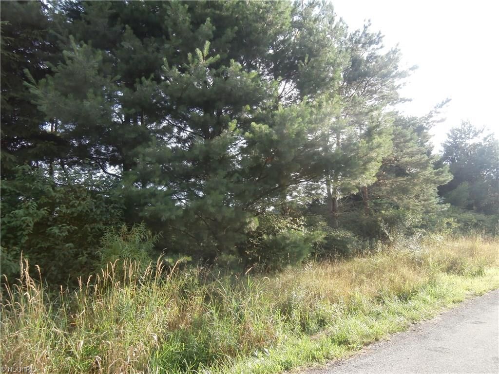 9 acres in Trumbull County, Ohio