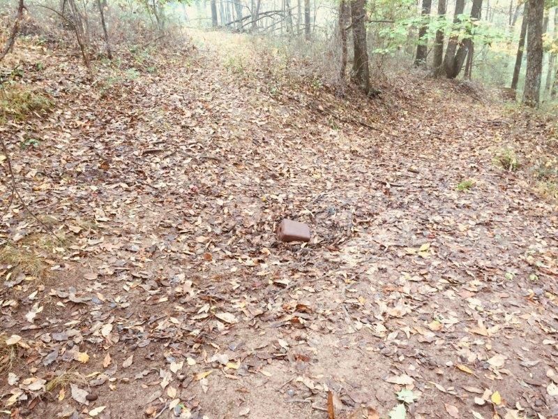 96 acres in Doddridge County, West Virginia