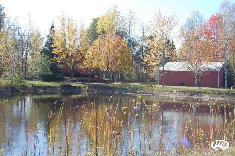 84 acres in County, Michigan