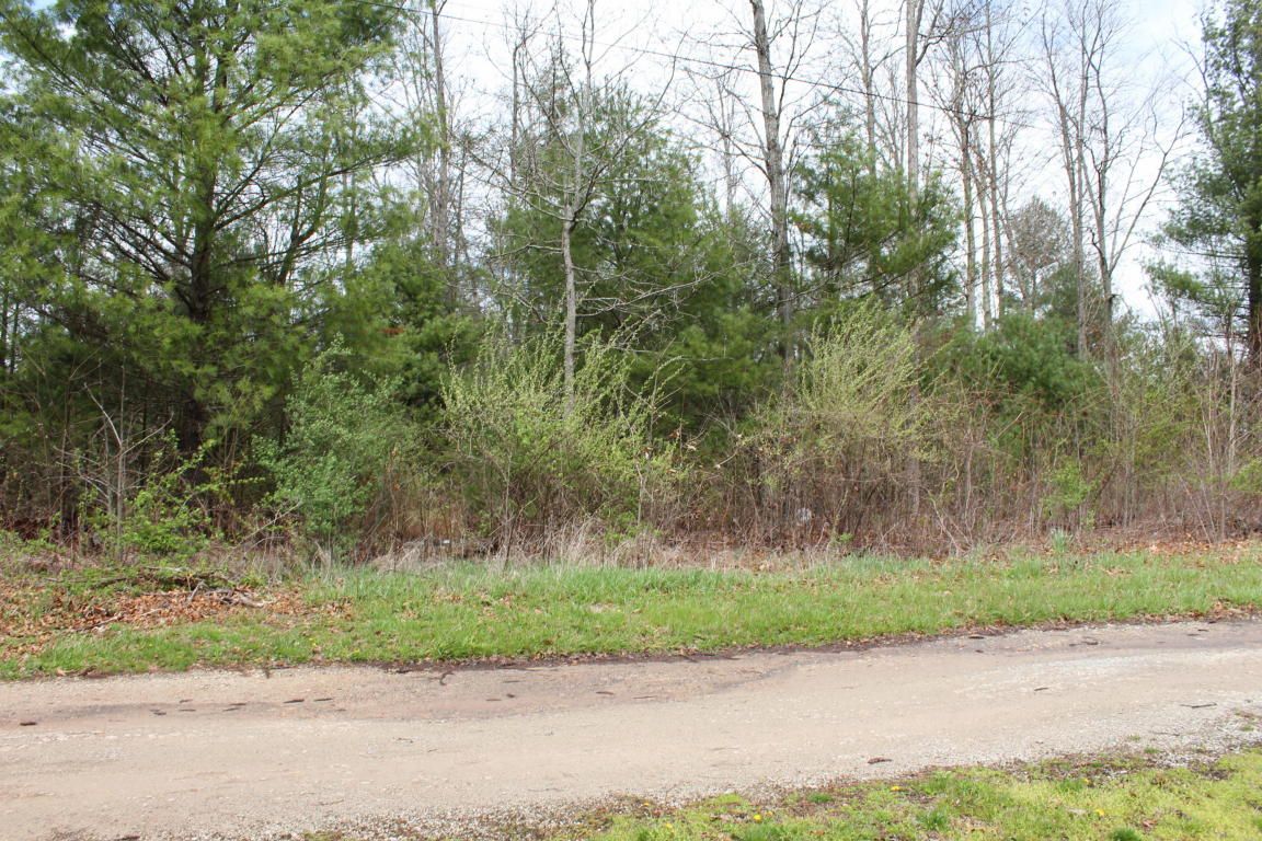 2 acres in Summers County, West Virginia