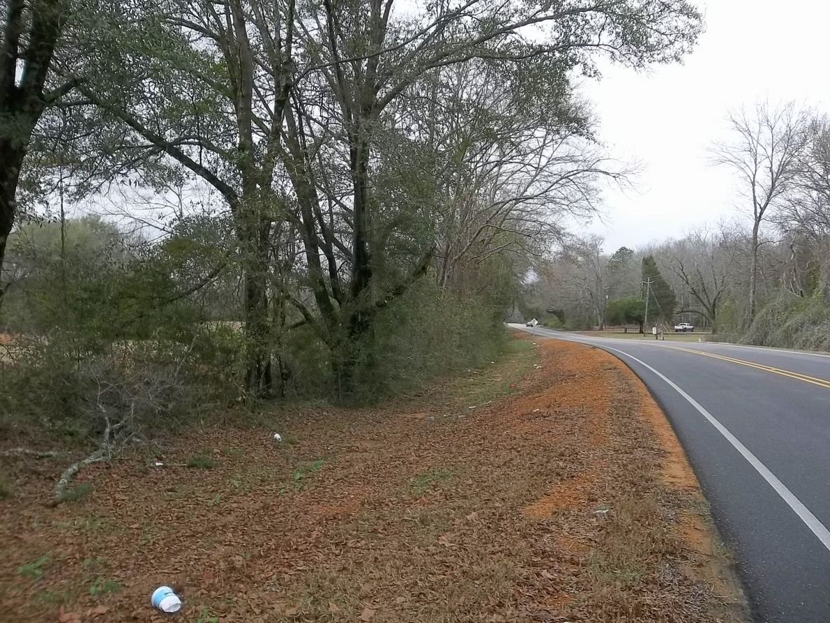 65 acres in Autauga County, Alabama