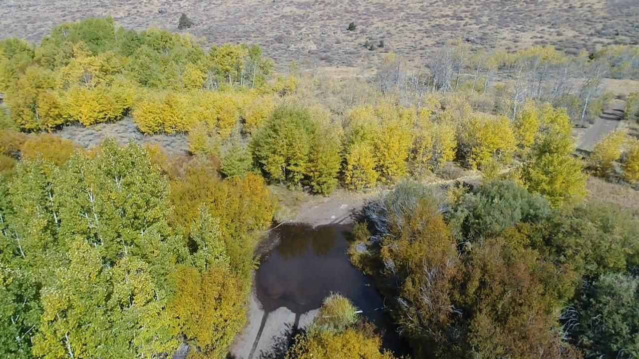 160 acres in Frenchglen, OR, 97736