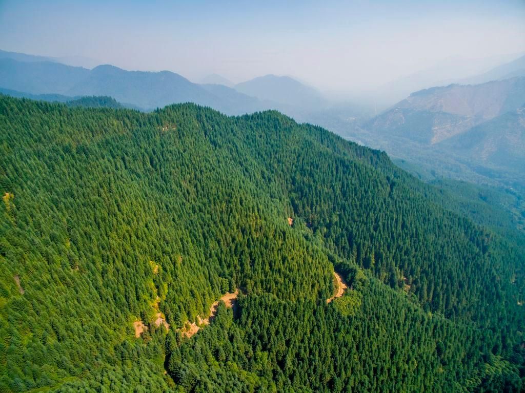 132 acres in Lane County, Oregon