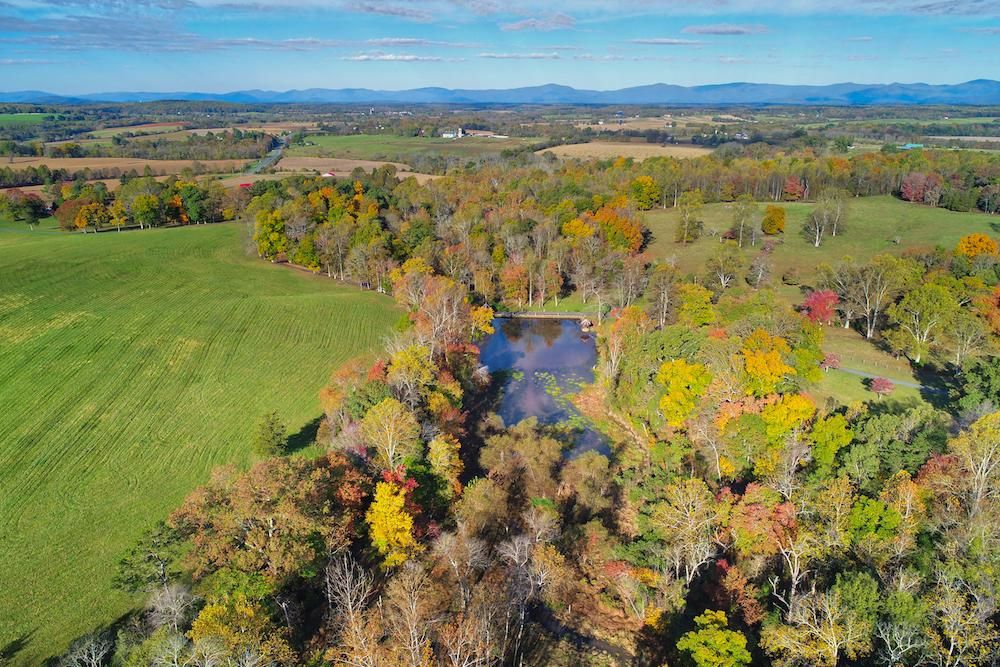 269.4 acres in Orange County, Virginia