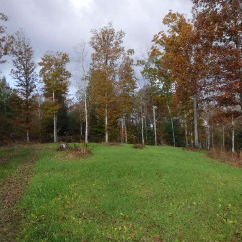 Charley Hull Loop, Allardt, TN 38504 MLS 183251