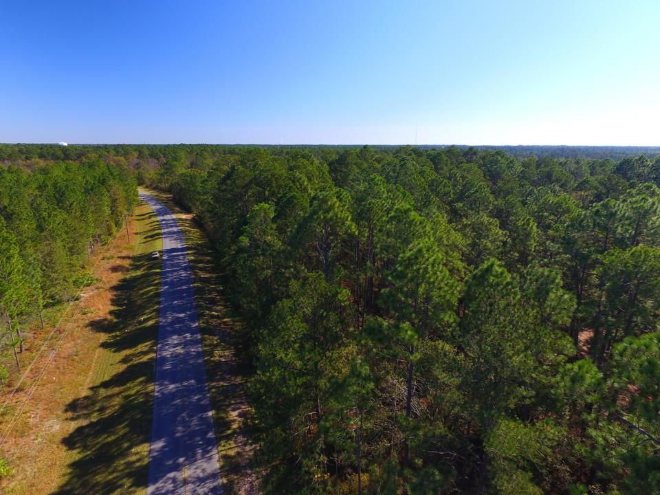 17 acres in Long County,