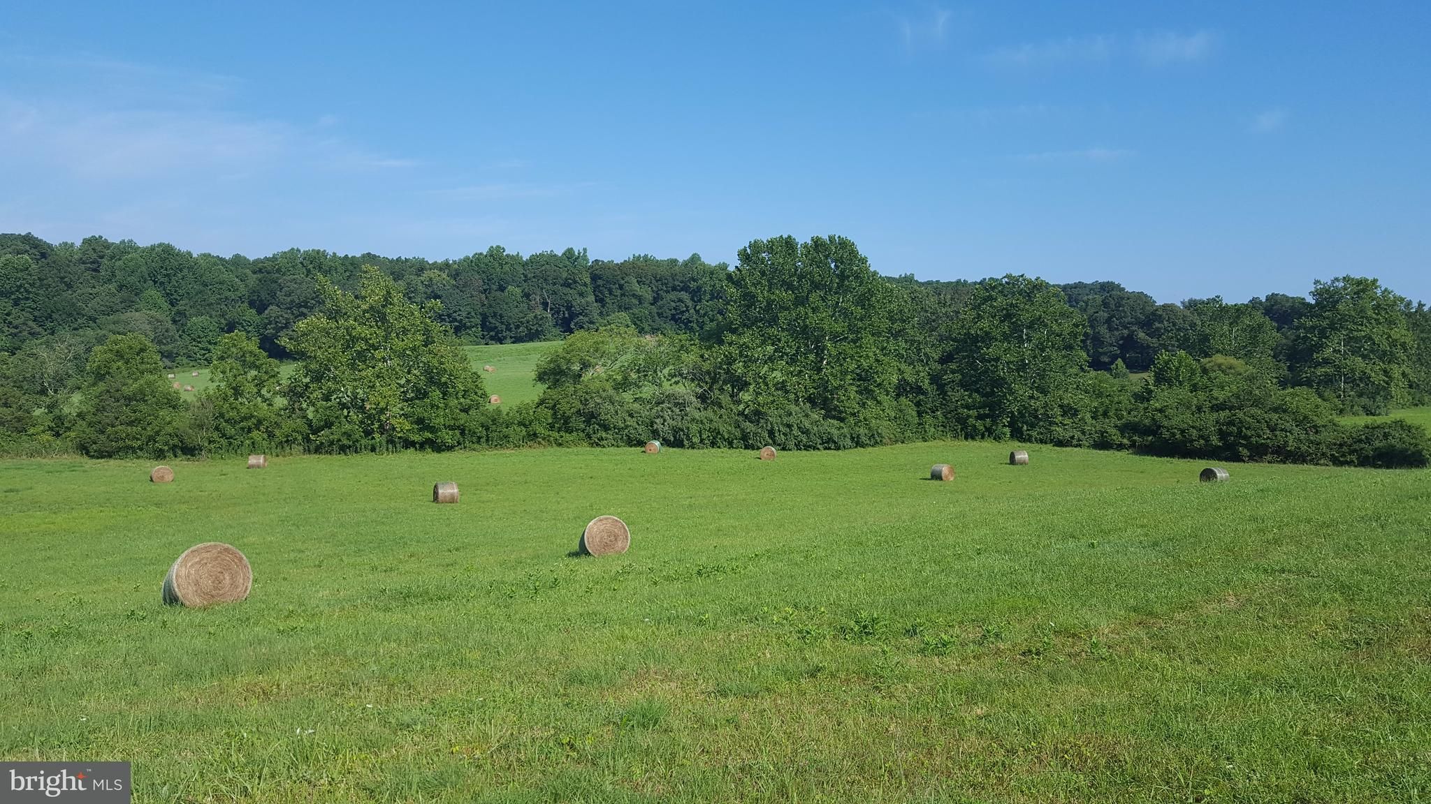 70 acres in Culpeper County, Virginia