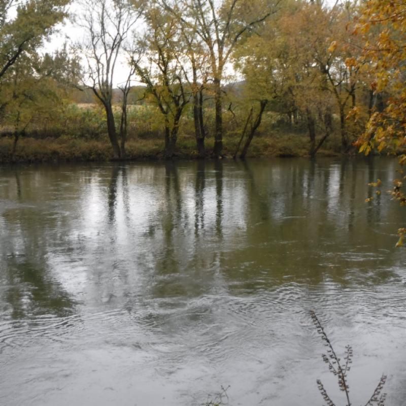 Ben Gentry Road, Elmwood, TN 38560 MLS 183261