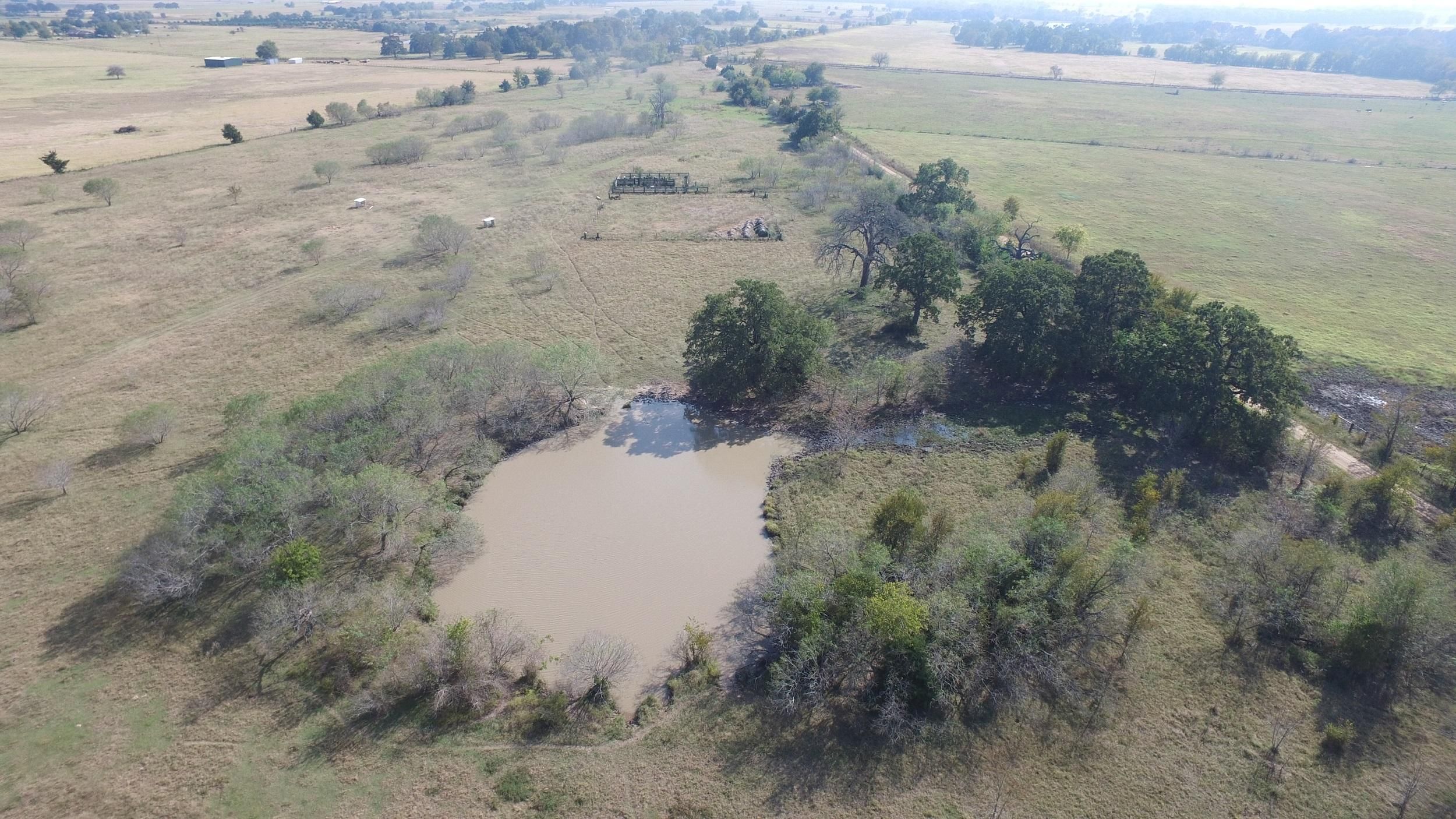 189.25 acres in Milam County, Texas