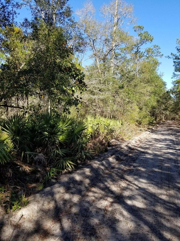 6.9 acres in Brantley County,