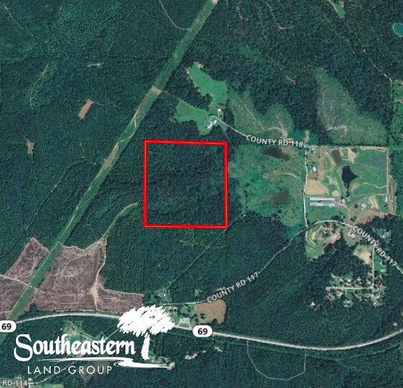 40 acres in Cullman County, Alabama