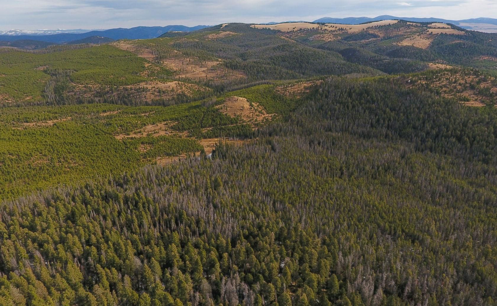 1,360 acres in Powell County, Montana