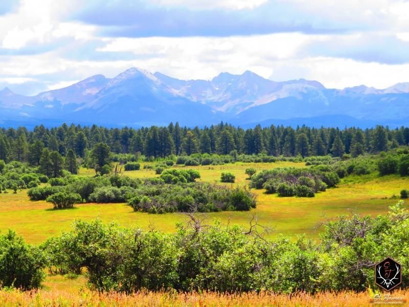 1,120 acres in Montezuma County, Colorado