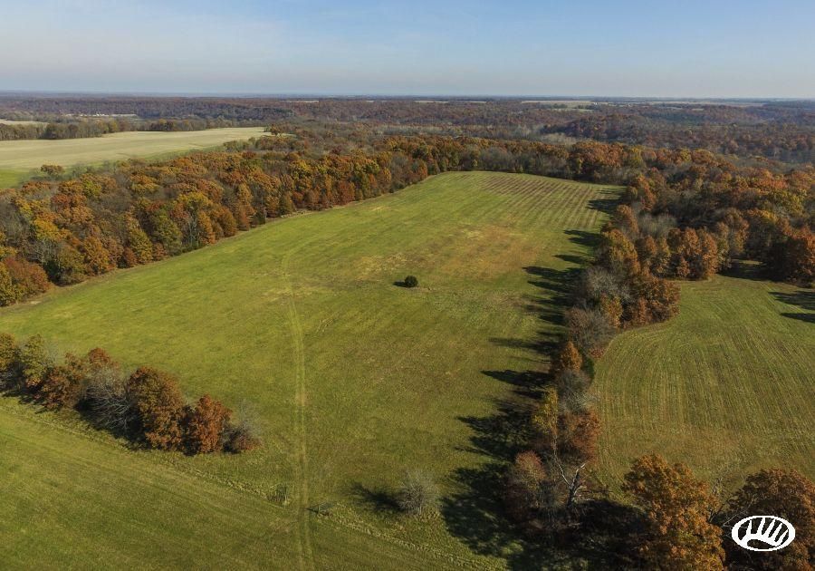 100 acres in Ralls County, Missouri