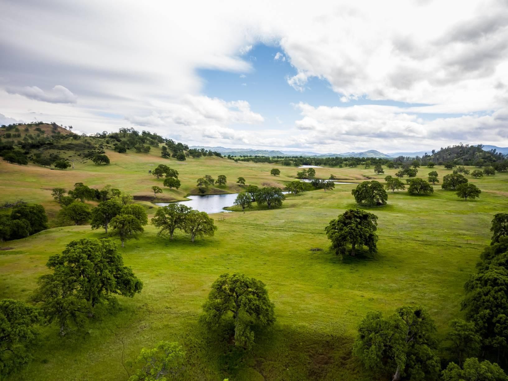 642 acres in Glenn County, California