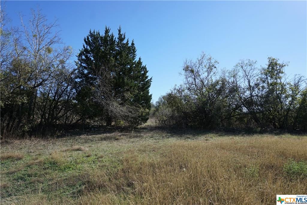 4 acres in Hays County, Texas