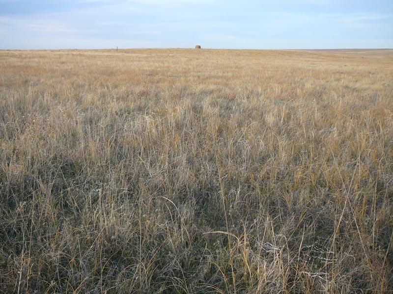 231 acres in Adams County, Colorado