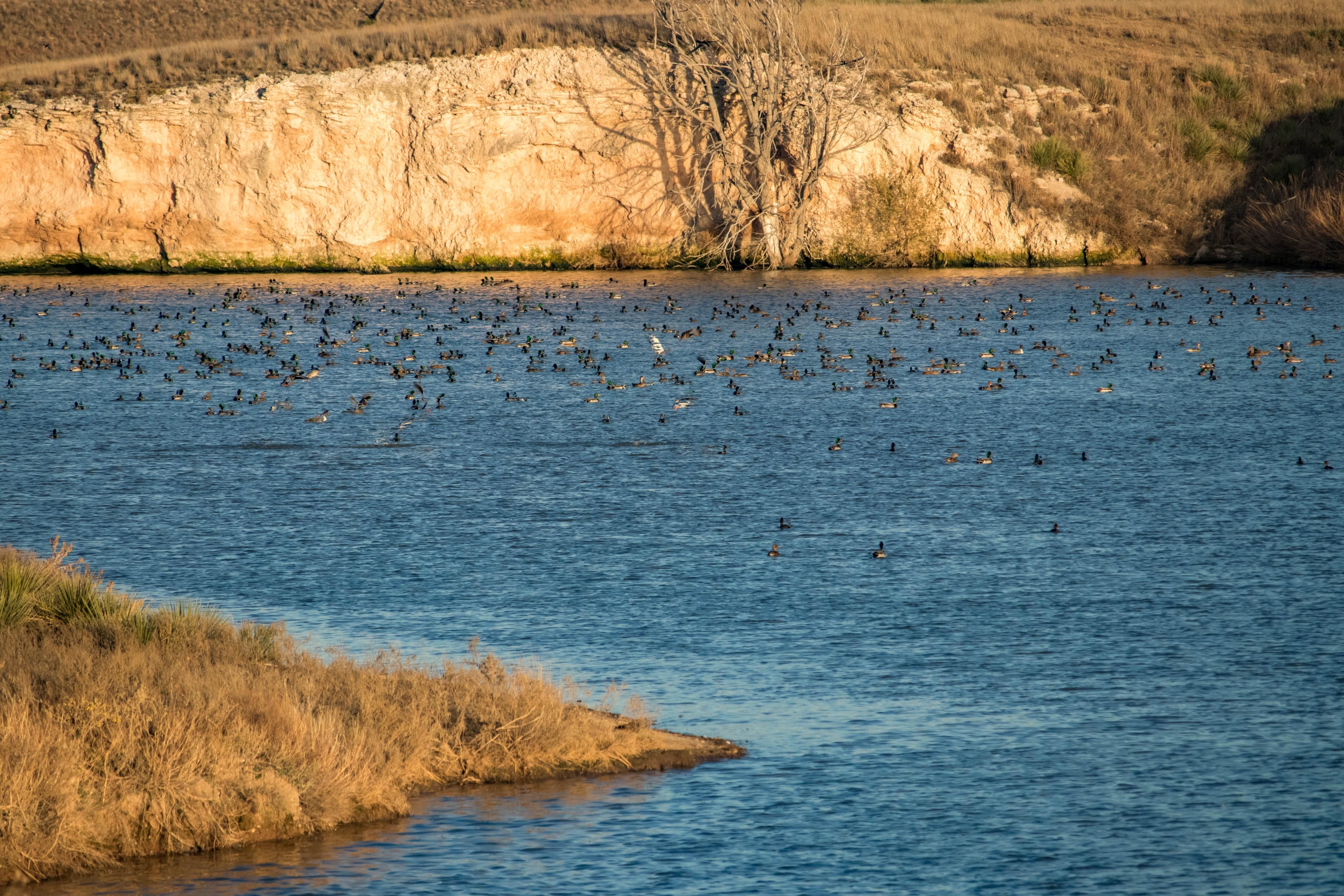 1,280 acres in Hansford County, Texas