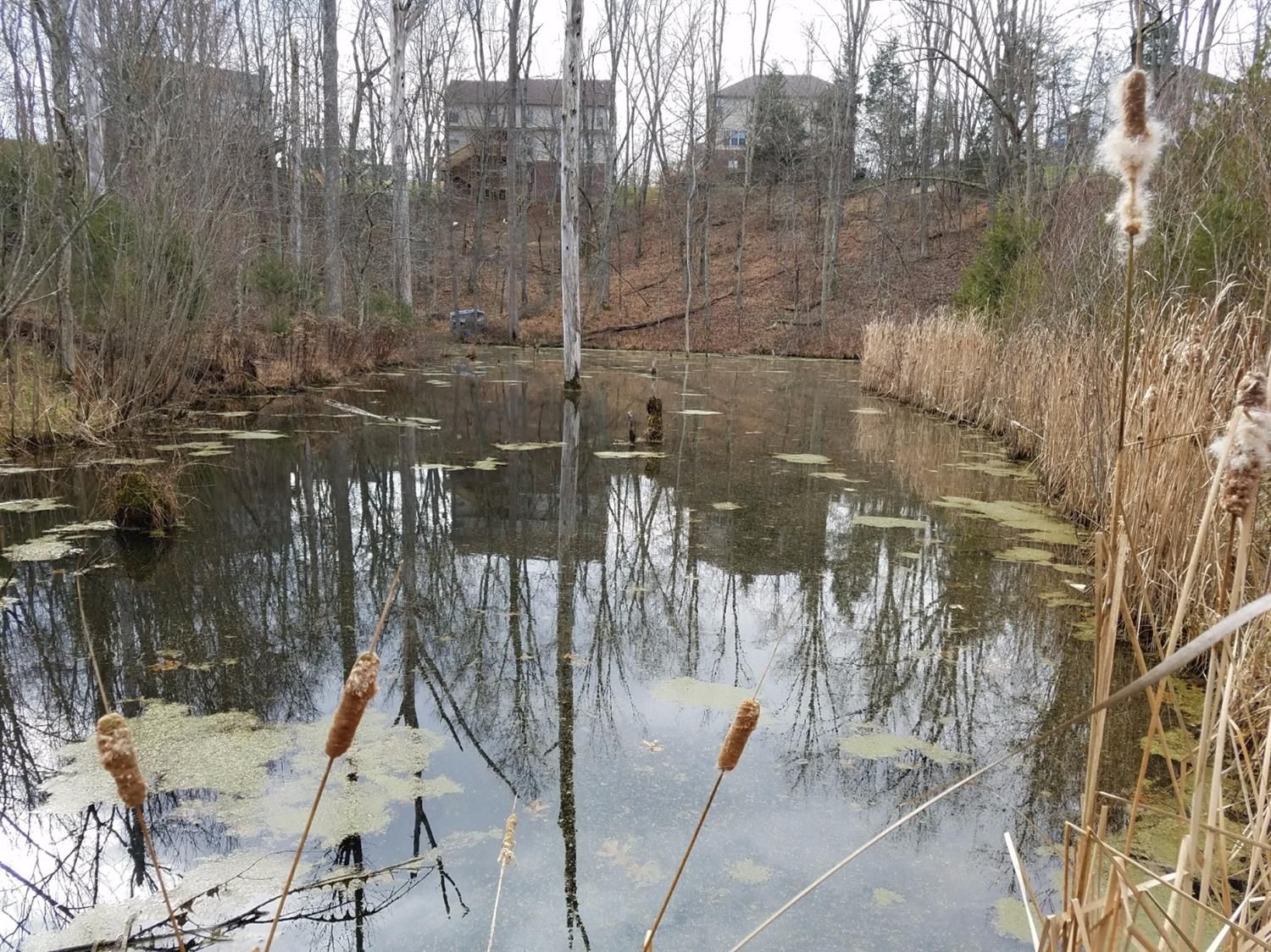 10 acres in Scott County, Kentucky