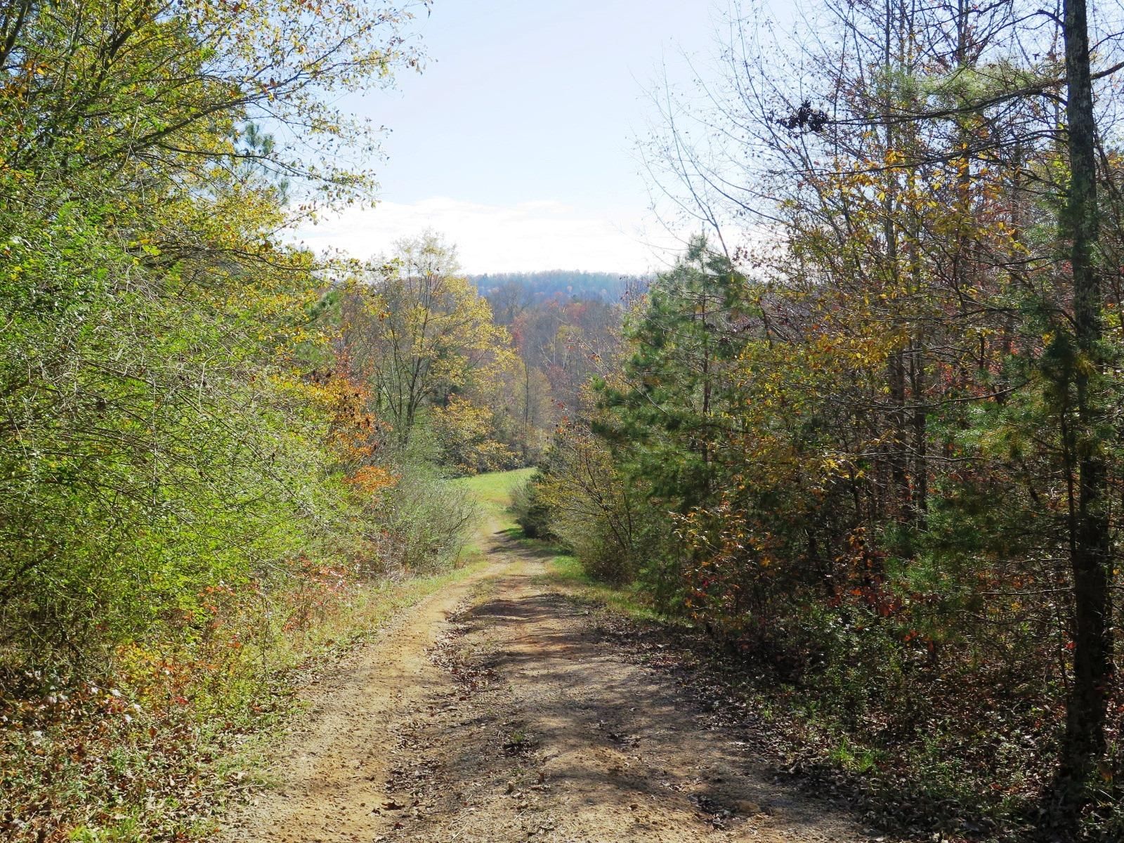 322 acres in Cullman County, Alabama