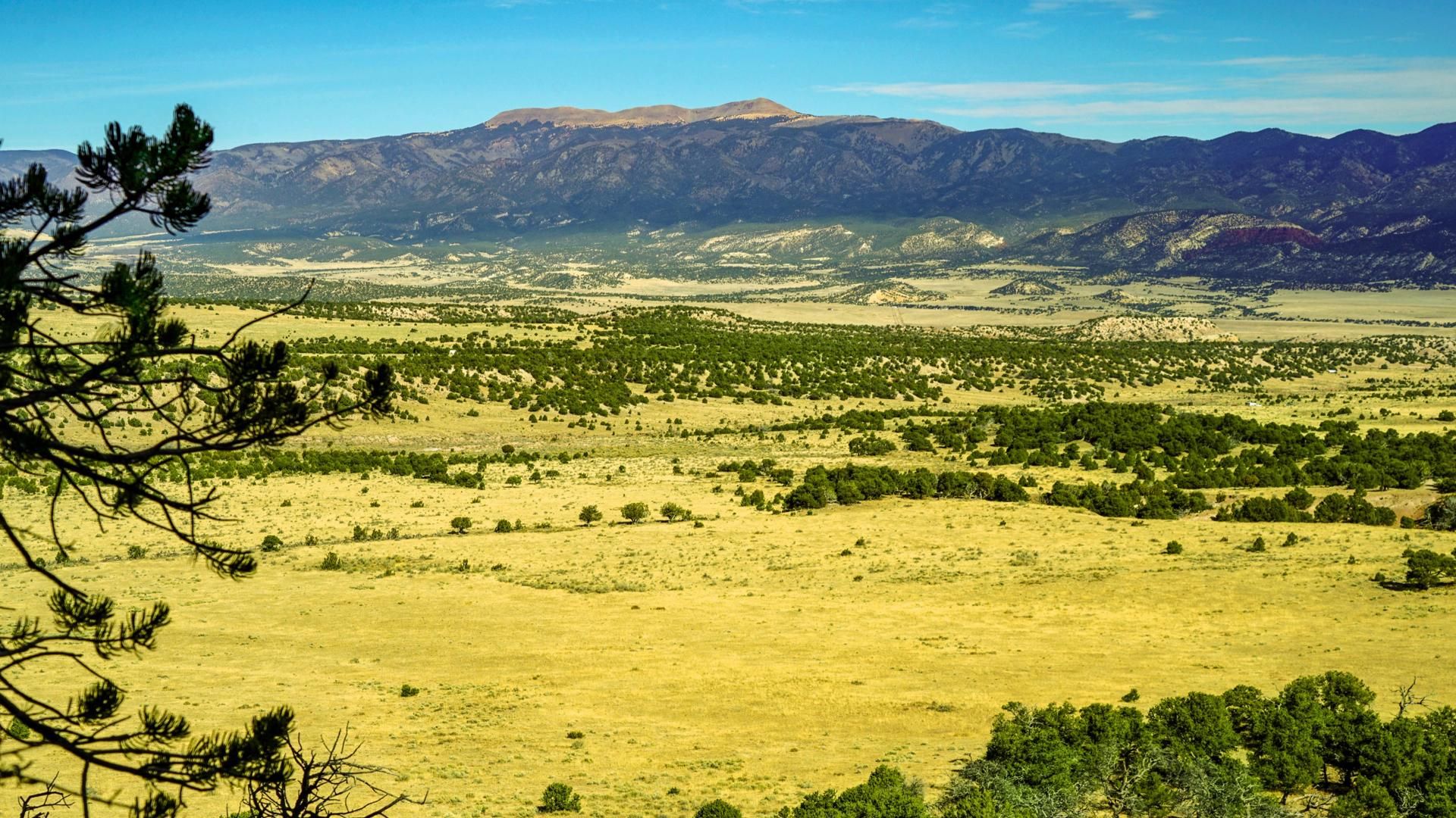 35 acres in Huerfano County, Colorado