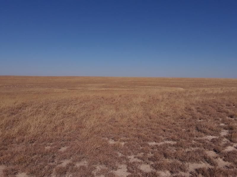 160 acres in County, Texas