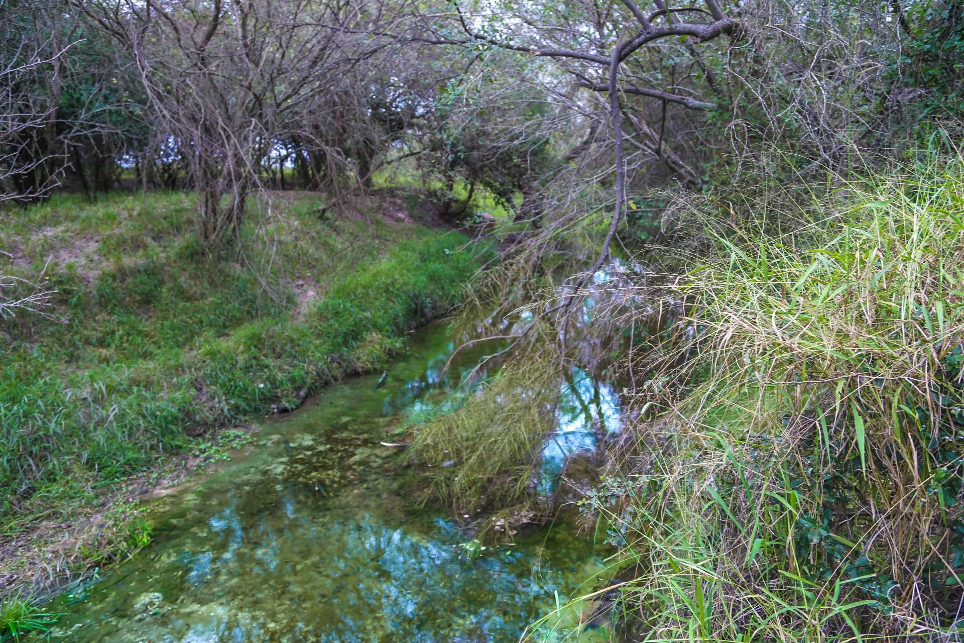 222 acres in Beeville, TX, 78102