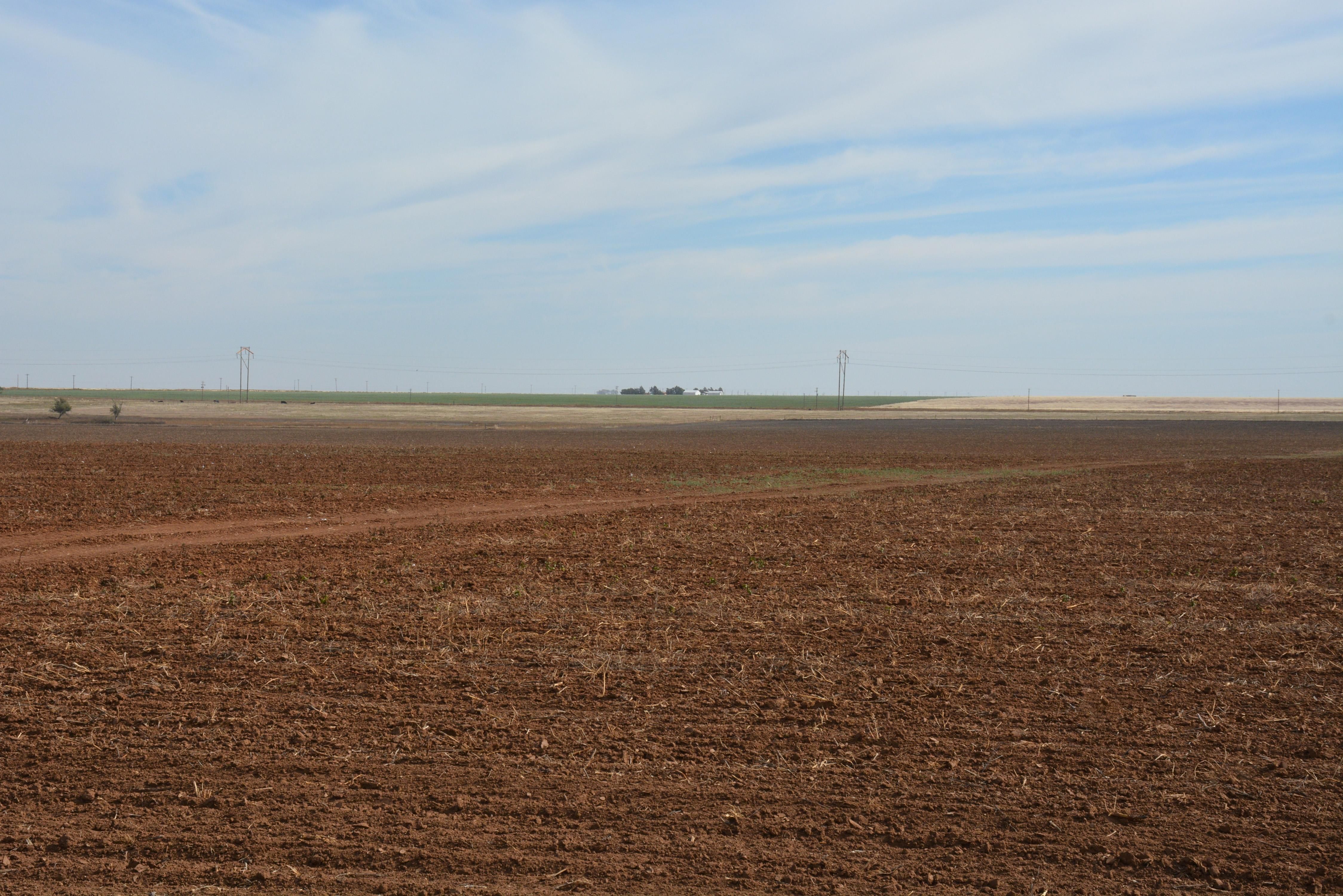 568 acres in Swisher County, Texas