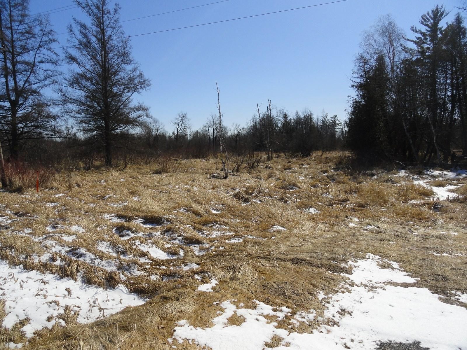 40 acres in Portage County, Wisconsin