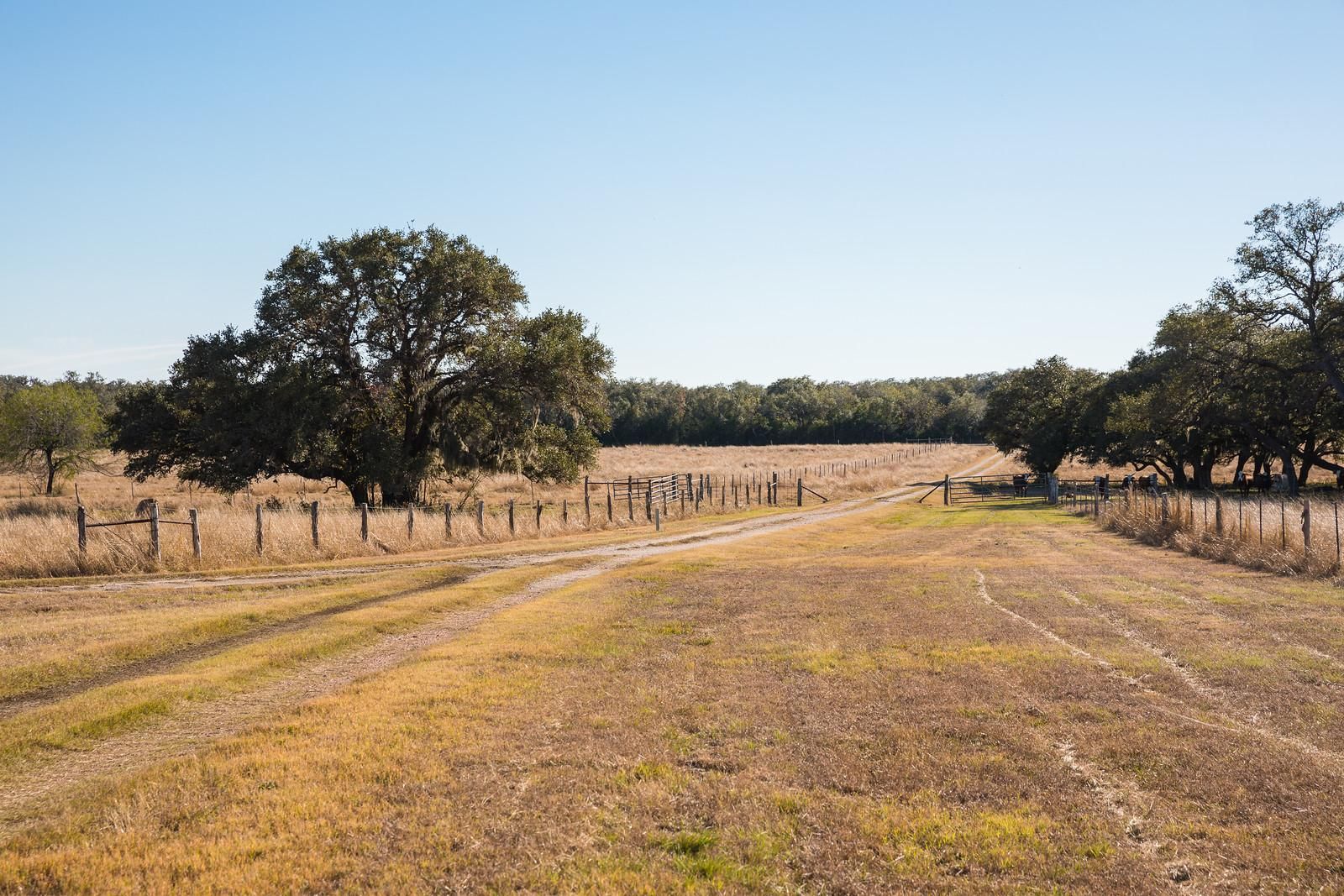 110 acres in Goliad County, Texas