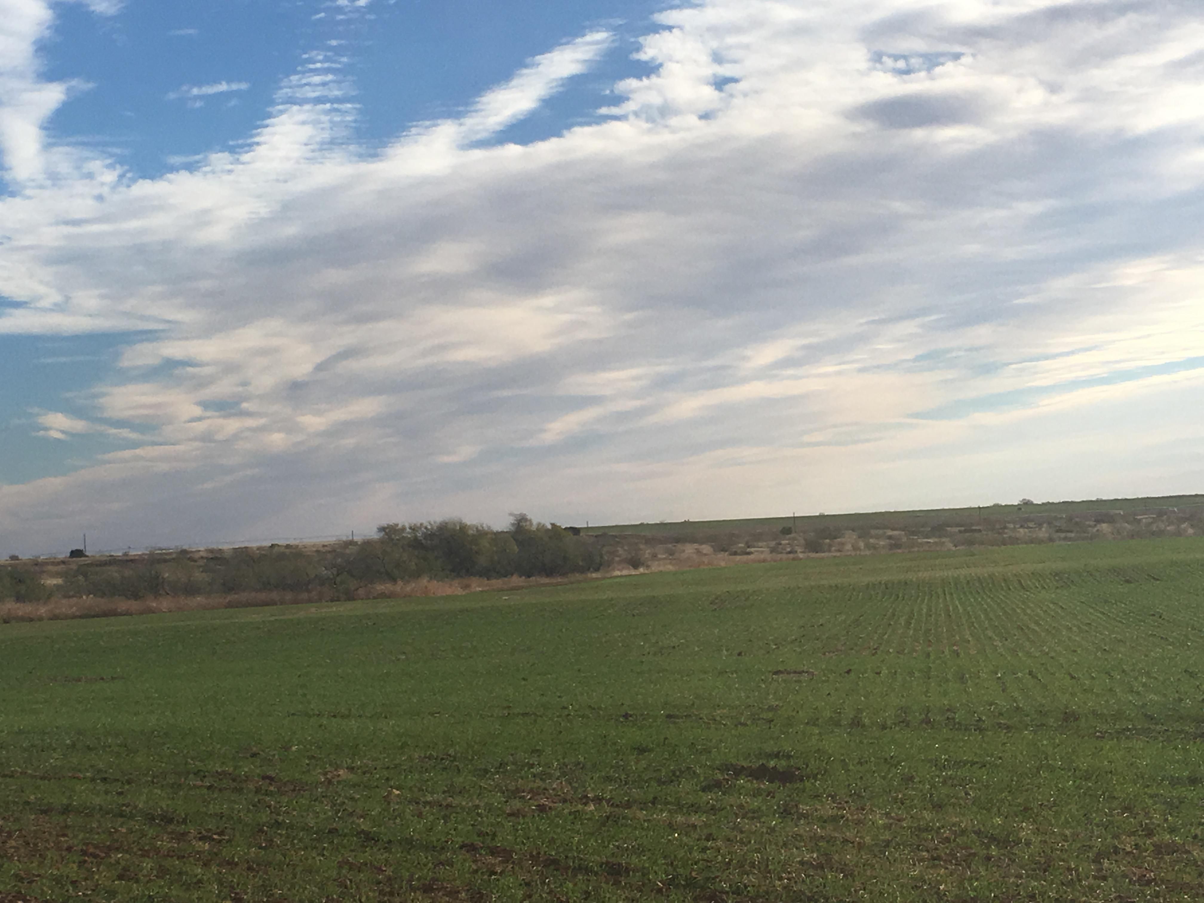 160 acres in Cottle County, Texas